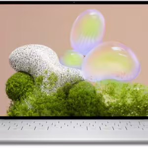 DELL XPS13